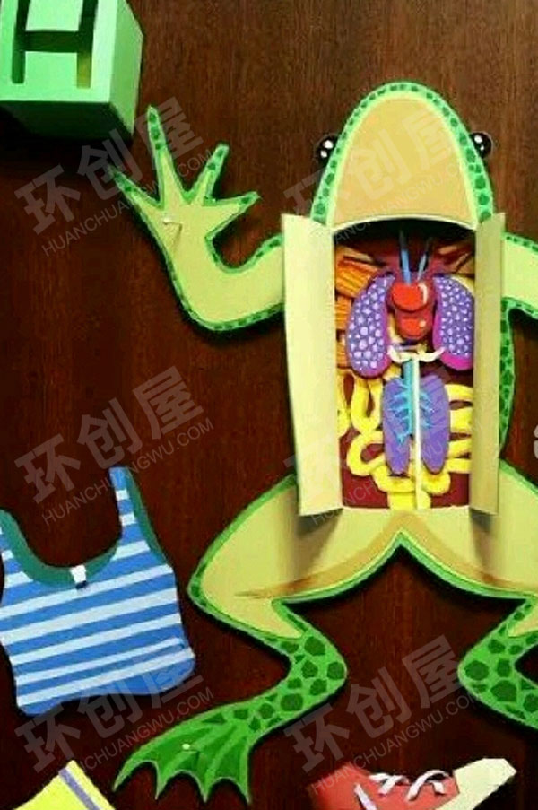 幼儿园科学区青蛙的身体环创图片