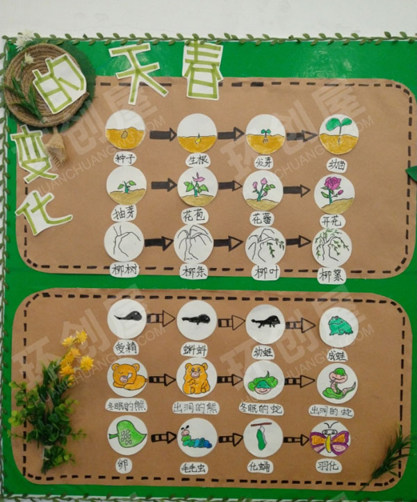 幼儿园主题墙绿色的春天环创图片