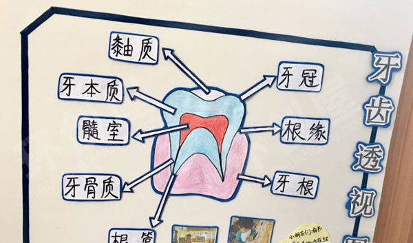 幼儿园主题墙牙齿咔咔咔环创图片