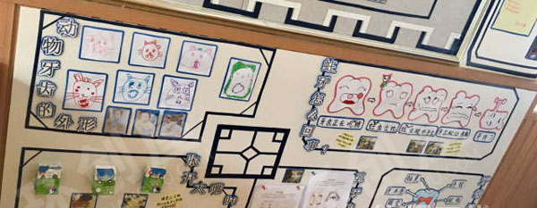 幼儿园主题墙牙齿咔咔咔环创图片