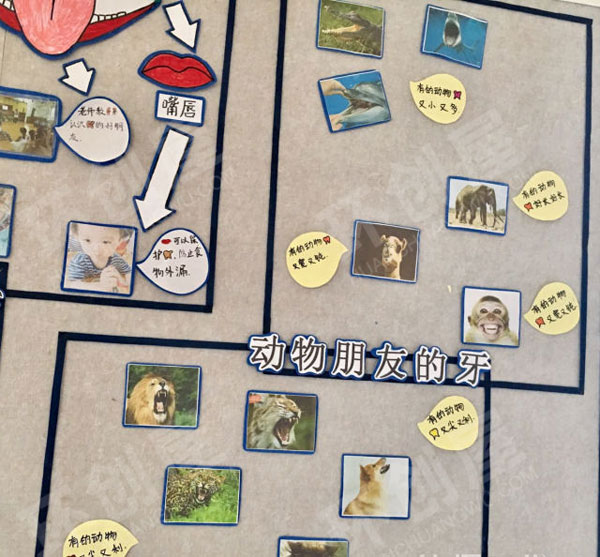 幼儿园主题墙牙齿咔咔咔环创图片