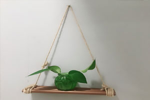 幼儿园绿植装饰吊挂饰环创图片3张