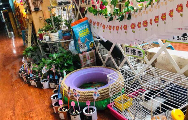 幼儿园自然角绿色装饰作品展示图片