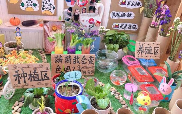 幼儿园自然角绿色装饰作品展示图片