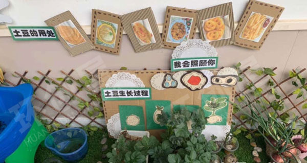 幼儿园自然角绿色装饰作品展示图片
