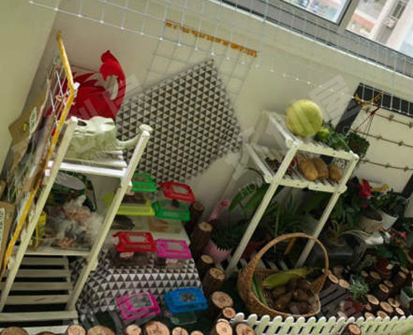 幼儿园自然角绿色装饰作品展示图片