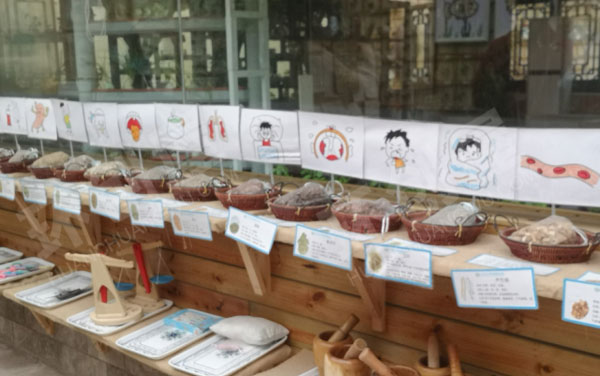 幼儿园户外种子博物馆环创图片