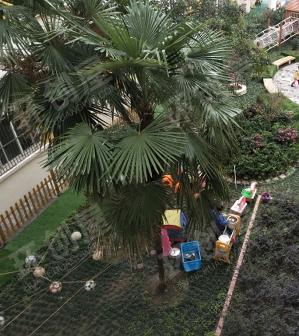 幼儿园户外超大型植物角环创图片