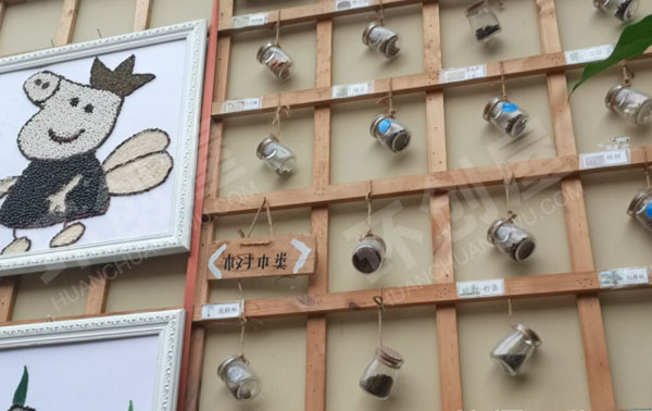 幼儿园户外种子博物馆环创图片