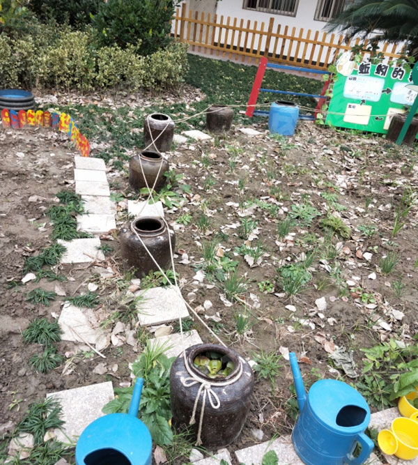 幼儿园户外超大型植物角环创图片
