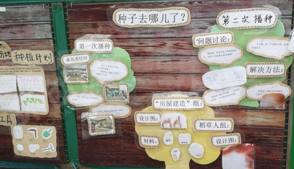幼儿园户外种子博物馆环创图片