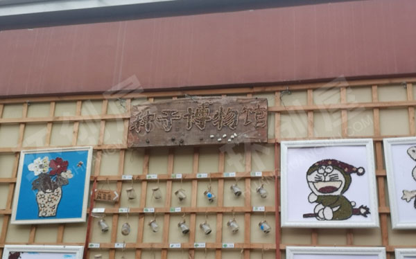 幼儿园户外种子博物馆环创图片
