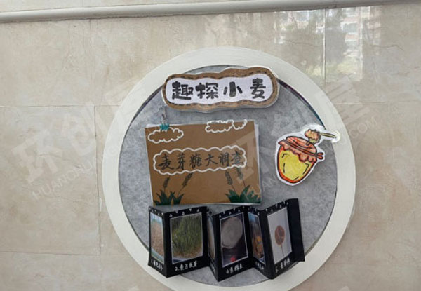 幼儿园科学区小麦生长墙面环创图片