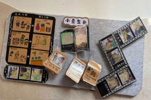 幼儿园科学区小麦生长墙面环创图片4张