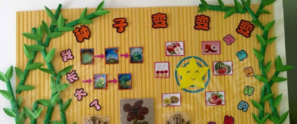 幼儿园主题墙黄色底板各种种子变化环创图片