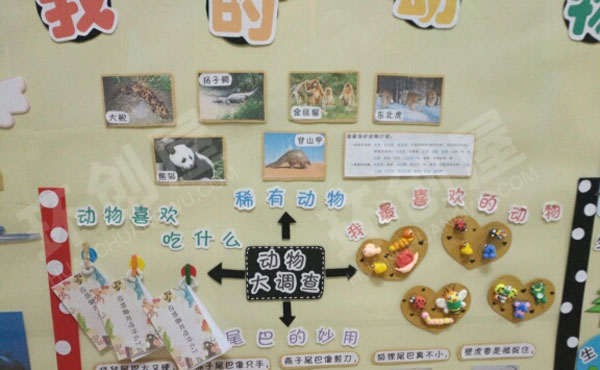 幼儿园主题墙我的动物朋友环创图片
