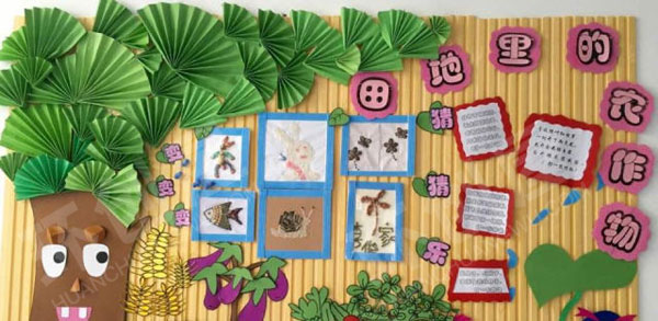 幼儿园主题墙黄色底板各种种子变化环创图片
