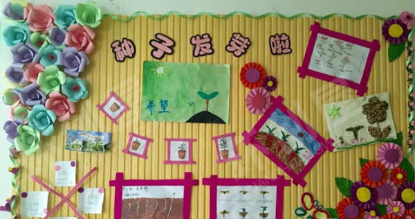 幼儿园主题墙黄色底板各种种子变化环创图片