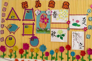 幼儿园主题墙黄色底板各种种子变化环创图片8张张