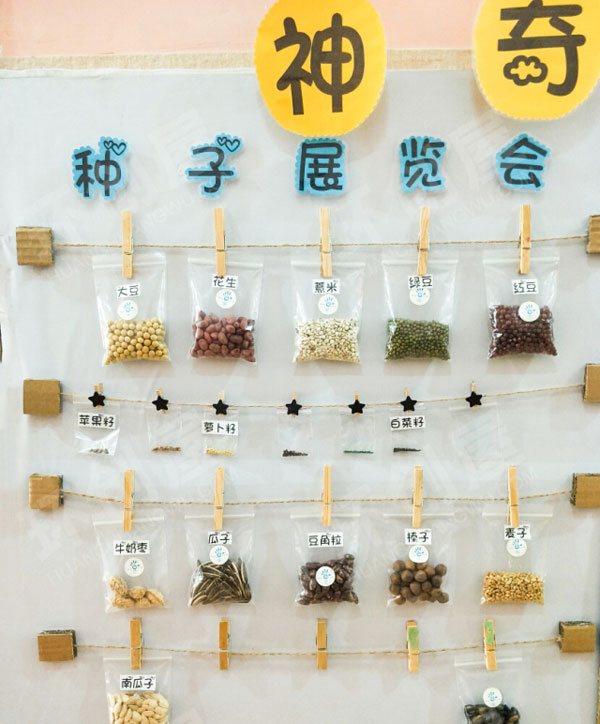 幼儿园种子的秘密主题墙环创图片
